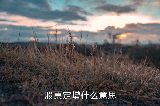  股票定增什么意思