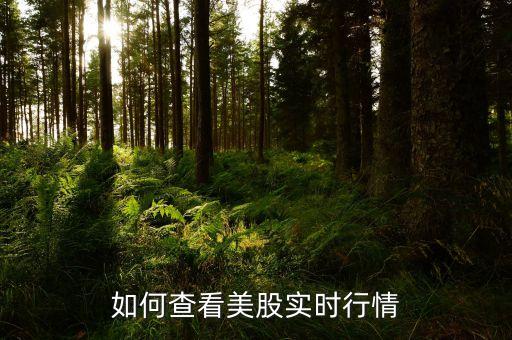 如何查看美股實(shí)時行情