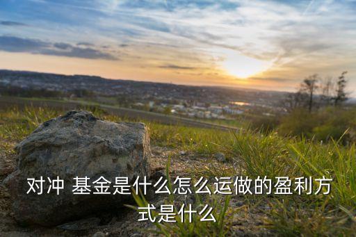  對沖 基金是什么怎么運做的盈利方式是什么