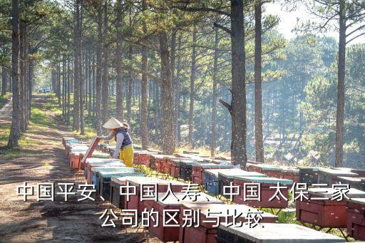 中國(guó)平安、中國(guó)人壽、中國(guó) 太保三家公司的區(qū)別與比較