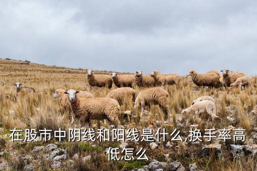 在股市中陰線(xiàn)和陽(yáng)線(xiàn)是什么,換手率高低怎么