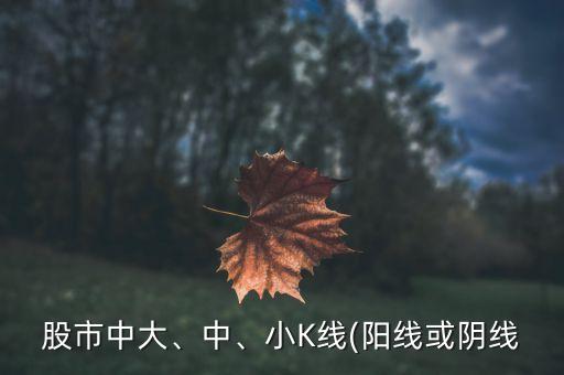 股市中大、中、小K線(xiàn)(陽(yáng)線(xiàn)或陰線(xiàn)