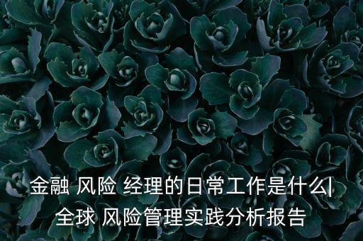 金融 風(fēng)險 經(jīng)理的日常工作是什么|全球 風(fēng)險管理實(shí)踐分析報告