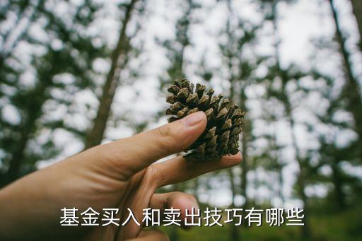  基金買(mǎi)入和賣(mài)出技巧有哪些