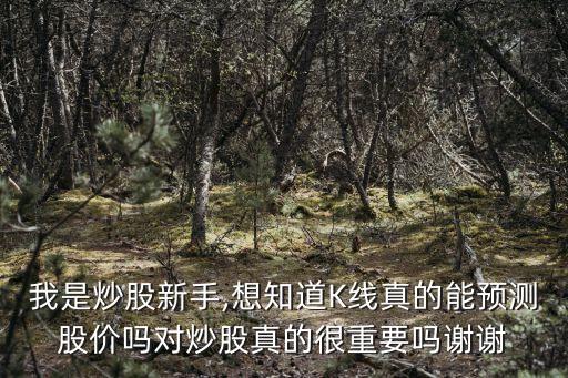 我是炒股新手,想知道K線(xiàn)真的能預(yù)測(cè)股價(jià)嗎對(duì)炒股真的很重要嗎謝謝