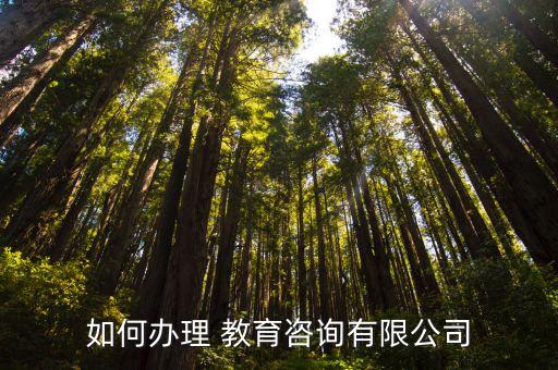 如何辦理 教育咨詢(xún)有限公司
