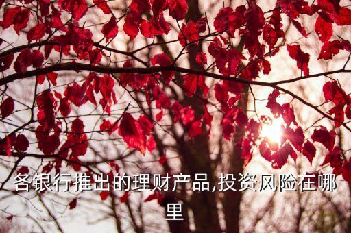 各銀行推出的理財產(chǎn)品,投資風(fēng)險在哪里