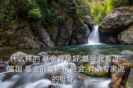 什么樣的 基金算是好 基金我看過 富國(guó) 基金的專場(chǎng)策略會(huì),有個(gè)專家說的挺好...