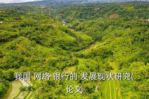 網絡銀行的產生與發(fā)展,現階段網絡銀行成功的發(fā)展模式為