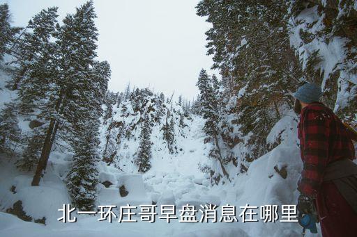 微博股票大神,股票大神都在哪個論壇
