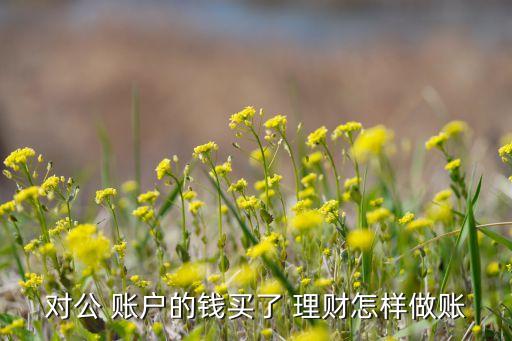 公司賬戶買(mǎi)理財(cái)產(chǎn)品