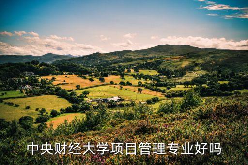 中央財經大學項目管理專業(yè)好嗎