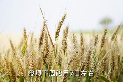 中優(yōu)核心成長(zhǎng)基金凈值,上投摩根核心成長(zhǎng)基金