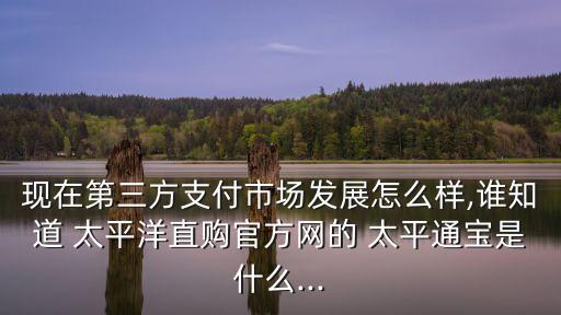 中國(guó)太平電子商務(wù),太平電子商務(wù)有限公司