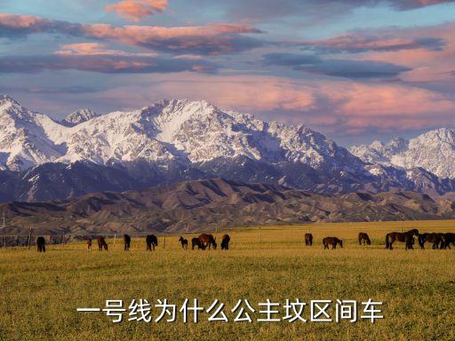 一號(hào)線(xiàn)為什么公主墳區(qū)間車(chē)