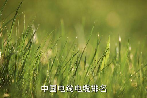 中國(guó)電線(xiàn)電纜排名