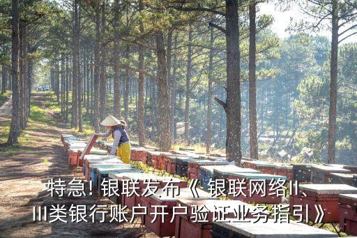 特急! 銀聯(lián)發(fā)布《 銀聯(lián)網(wǎng)絡(luò)II、III類銀行賬戶開戶驗(yàn)證業(yè)務(wù)指引》