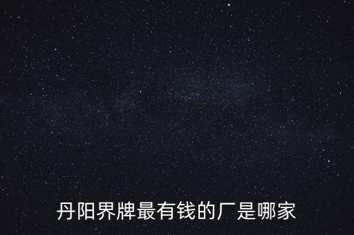丹陽(yáng)界牌最有錢(qián)的廠是哪家