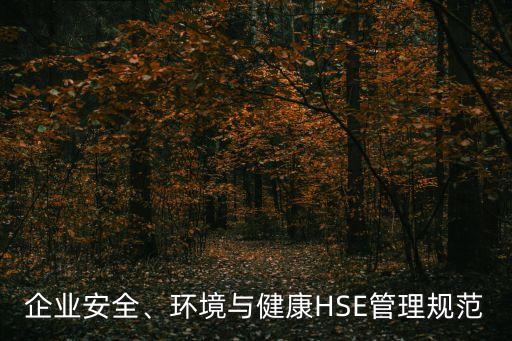企業(yè)安全、環(huán)境與健康HSE管理規(guī)范