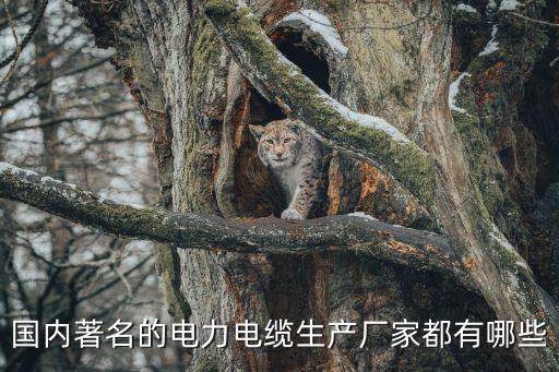 國(guó)內(nèi)著名的電力電纜生產(chǎn)廠(chǎng)家都有哪些