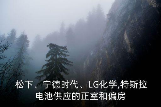  松下、寧德時(shí)代、LG化學(xué),特斯拉電池供應(yīng)的正室和偏房