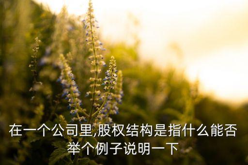 在一個公司里,股權結(jié)構(gòu)是指什么能否舉個例子說明一下