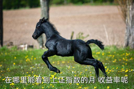 基金收益率查詢,基金的收益率怎么計算